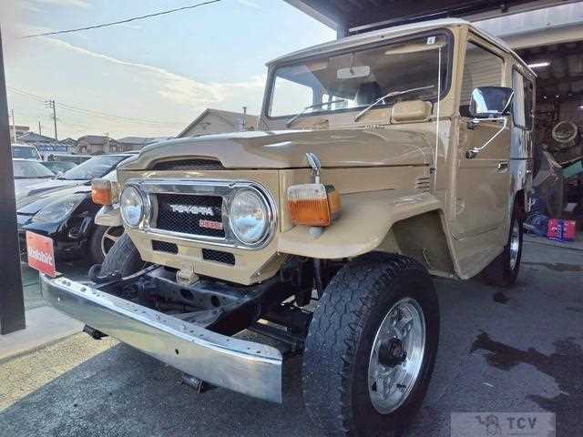 1981 Toyota Land Cruiser