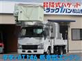 2013 Isuzu Elf Truck