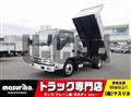 2020 Isuzu Elf Truck