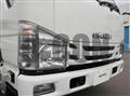 2020 Isuzu Elf Truck