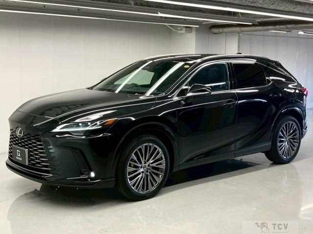 2024 Lexus RX