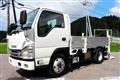 2017 Isuzu Elf Truck