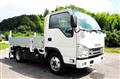 2017 Isuzu Elf Truck