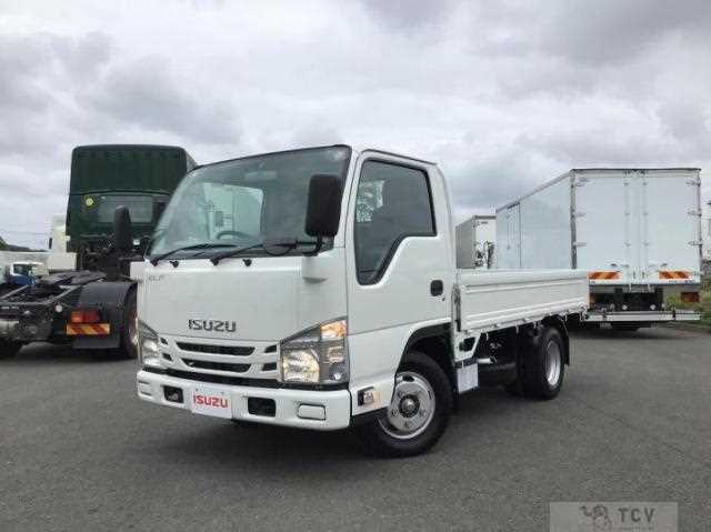 2017 Isuzu Elf Truck