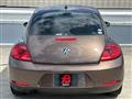 2014 Volkswagen Beetle