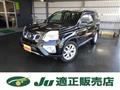 2013 Nissan X-Trail