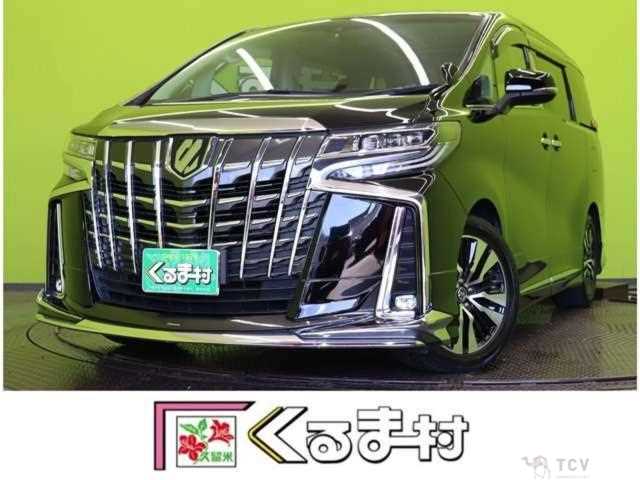 2019 Toyota Alphard G