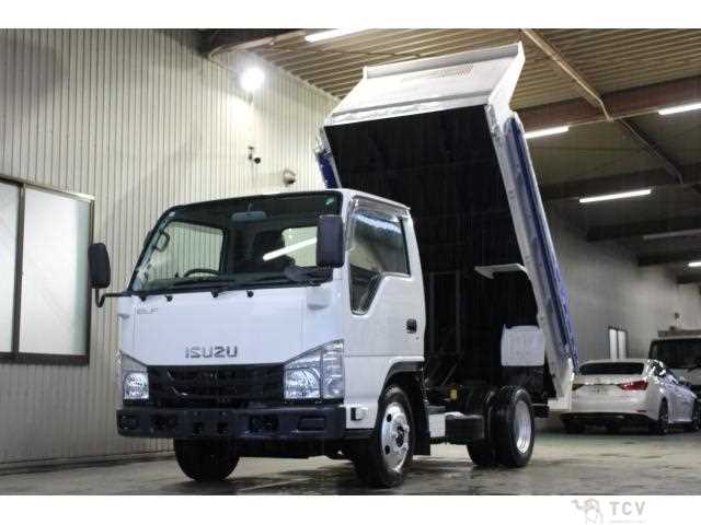 2017 Isuzu Elf Truck