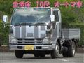 2008 Isuzu Elf Truck