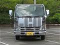 2008 Isuzu Elf Truck