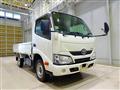 2019 Toyota Dyna Truck