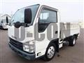 2020 Isuzu Elf Truck