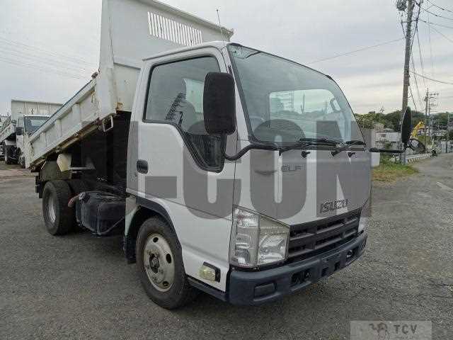 2013 Isuzu Elf Truck