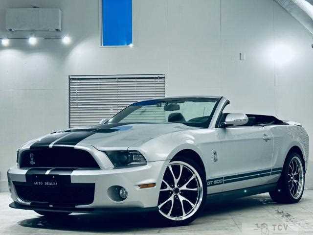 2010 Ford Mustang