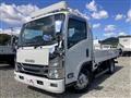 2009 Isuzu Elf Truck