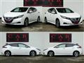 2019 Nissan Leaf