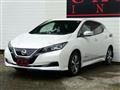 2019 Nissan Leaf