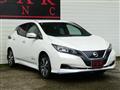 2019 Nissan Leaf