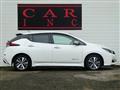 2019 Nissan Leaf