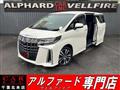 2019 Toyota Alphard G