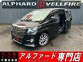 2017 Toyota Alphard G