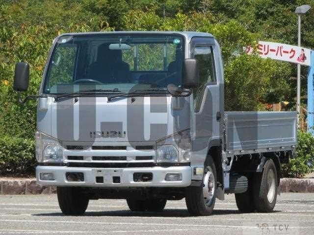 2013 Isuzu Elf Truck