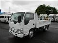 2012 Isuzu Elf Truck