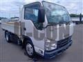 2019 Isuzu Elf Truck