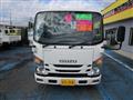2018 Isuzu Elf Truck