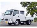 2020 Isuzu Elf Truck