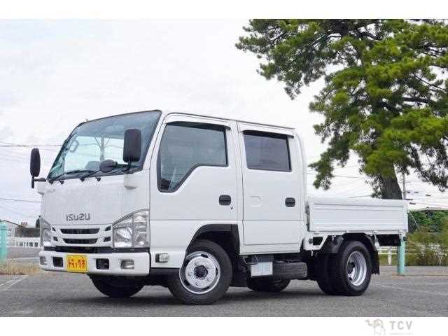 2020 Isuzu Elf Truck