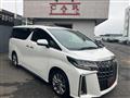2020 Toyota Alphard G
