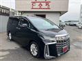2019 Toyota Alphard G
