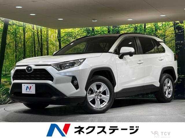 2019 Toyota RAV4