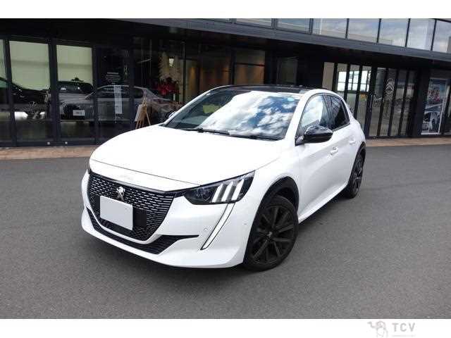 2023 Peugeot Peugoet Others