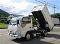 2019 Isuzu Elf Truck