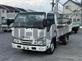 2018 Isuzu Elf Truck