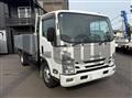 2019 Isuzu Elf Truck