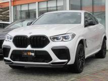 2025 BMW X6