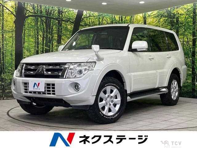 2013 Mitsubishi Pajero