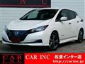 2022 Nissan Leaf