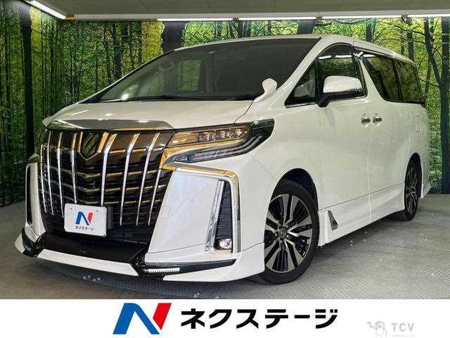 2022 Toyota Alphard G