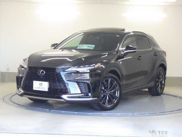 2024 Lexus RX