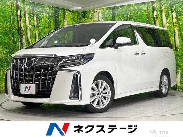 2019 Toyota Alphard G