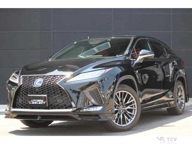 2019 Lexus RX