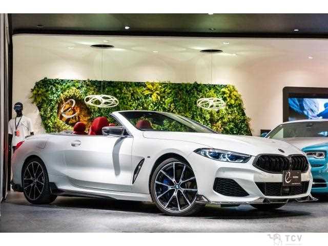 2019 BMW 8 Series