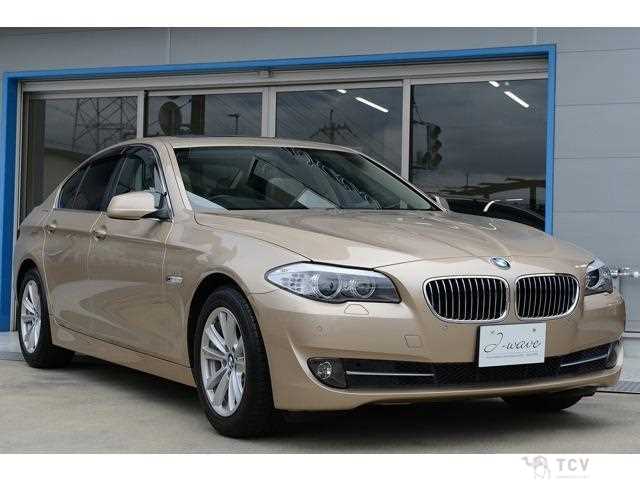 2010 BMW 5 Series