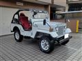 1995 Mitsubishi Jeep
