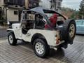 1995 Mitsubishi Jeep