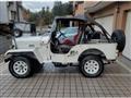 1995 Mitsubishi Jeep